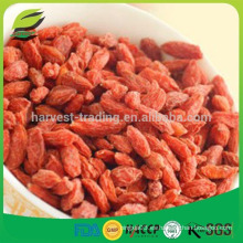 Tipo Convencional y Tipo de Cultivo Orgánico granos de goji mayoristas bayas de goji al por mayor